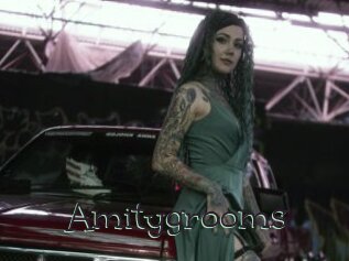 Amitygrooms