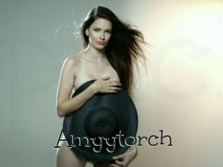 Amyytorch
