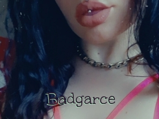Badgarce