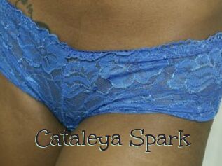 Cataleya_Spark