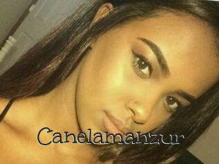 Canelamanzur