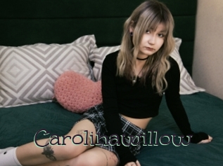 Carolinawillow