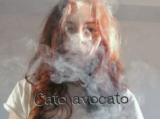 Cato_avocato
