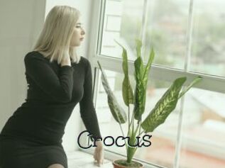 Crocus