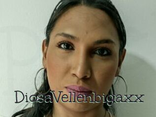 DiosaVellenbigaxx