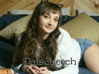 Daisybeech