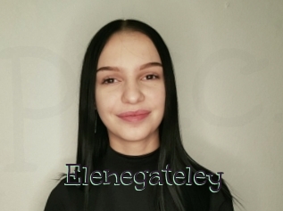 Elenegateley