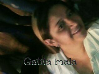 Gatita_mala