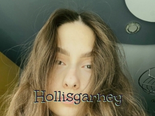 Hollisgarney