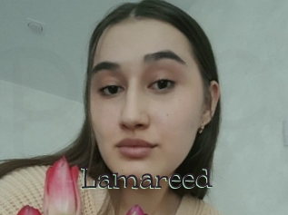 Lamareed