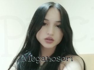 Meganosori
