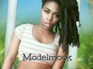 Modelmook