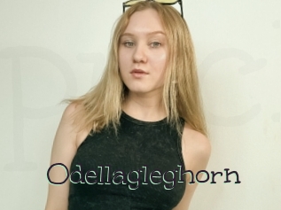 Odellagleghorn