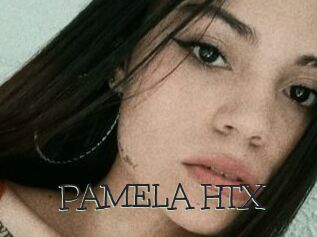 PAMELA_HTX