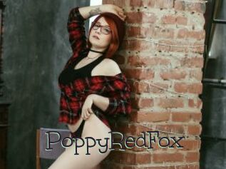 PoppyRedFox