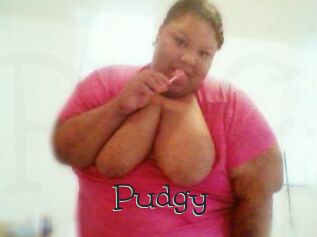 Pudgy