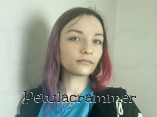 Petulacrammer