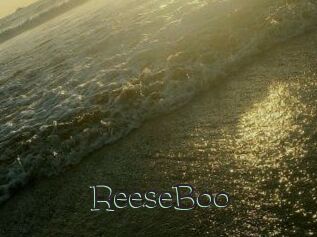 ReeseBoo