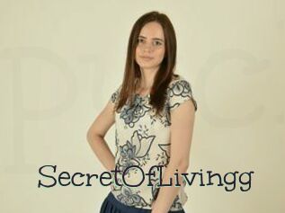 SecretOfLivingg
