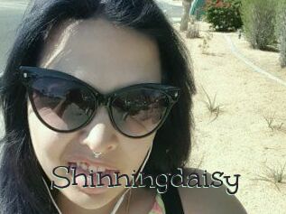 Shinningdaisy