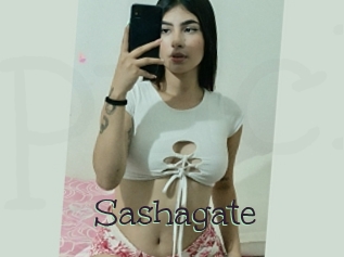 Sashagate