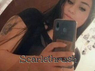 Scarlethrush