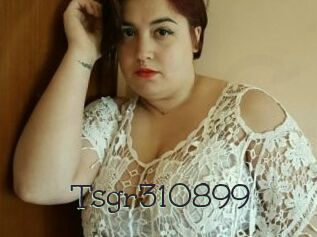 Tsgr310899