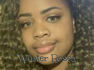 Winter_Rosea