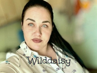 Wilddaisy